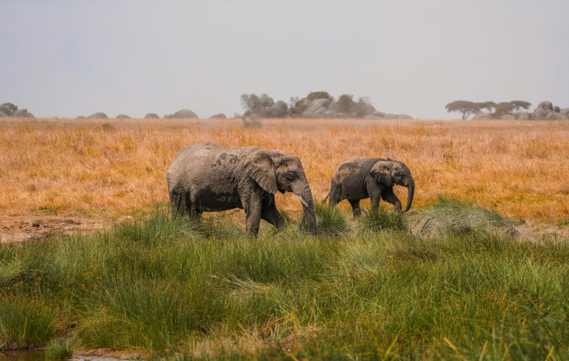 Victoria Falls Explorer (3 Days)
